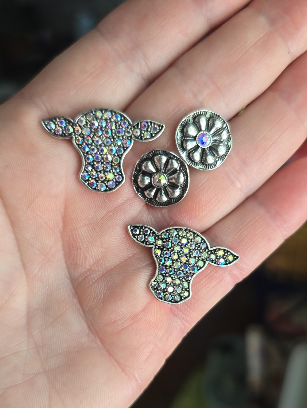 Western Earrings